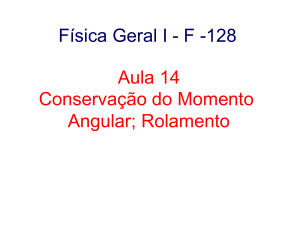Física Geral I - F -128 Aula 14 Conservação do Momento