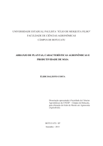 ARRANJO DE PLANTAS, CARACTERÍSTICAS AGRONÔMICAS E