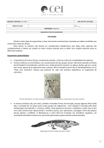 Introdução Existem vários tipos de argumentos a favor das teorias