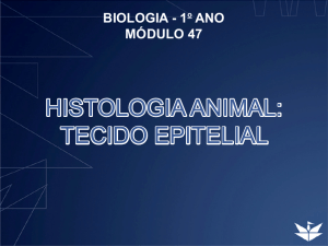 HISTOLOGIA ANIMAL: TECIDO EPITELIAL