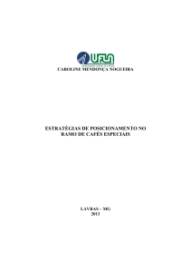 DISSERTACAO_Estratégias de posicionamento no ramo