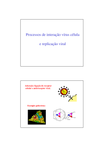 Interação víru-célula e Replicação - ICB-USP