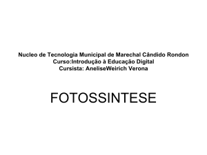 fotossintese - proinfontmmcr2010