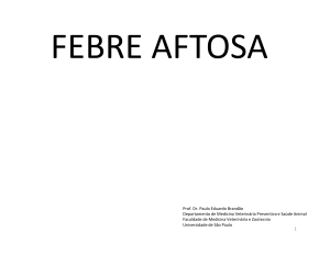 Febre Aftosa