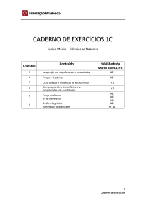 Exercício 4