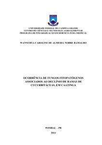 OCORRÊNCIA DE FUNGOS FITOPATÓGENOS ASSOCIADOS AO