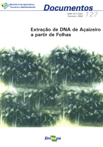 Extração de DNA de Açaizeiro a Partir de folhas - Infoteca-e