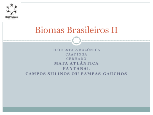 Biomas Brasileiros II