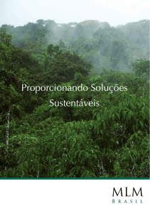 Proporcionando Soluções Sustentáveis - MLM Brasil