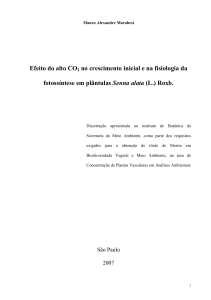 Efeito do alto CO2 no crescimento inicial e na fisiologia da