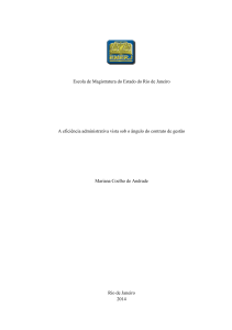 A eficiência administrativa vista sob o ângulo do contrato de