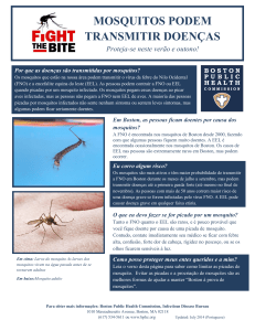 mosquitos podem transmitir doenças
