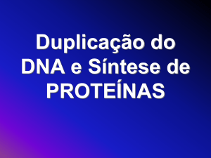 Síntese Protéica e Duplicação do DNA