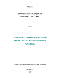 conhecendo um pouco mais sobre fenda glótica médio posterior