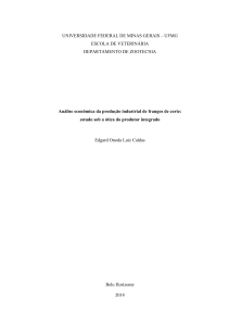 Análise econômica da produção industrial de frangos de corte