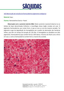 18) Observação de inclusão de hemossiderina (pigmento endógeno)