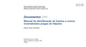 Manual de identificação de insetos e outros invertebrados pragas