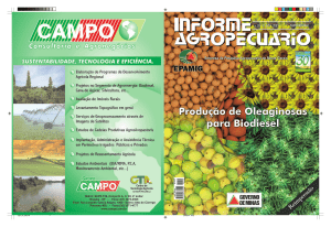 Informe Agropecuário nº229 - Produção de Oleaginosas