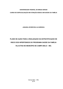 PLANO DE AÇÃO PARA A REALIZAÇÃO DA ESTRATIFICAÇÃO DE