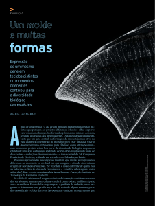 formas - Revista Pesquisa Fapesp