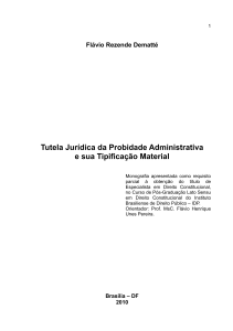 Tutela Jurídica da Probidade Administrativa e sua Tipificação Material