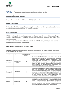 Ficha Técnica (download ficheiro PDF)