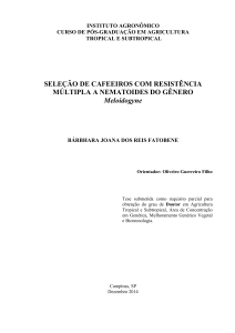 SELEÇÃO DE CAFEEIROS COM RESISTÊNCIA MÚLTIPLA A