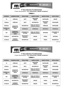 7 Ano (Ensino Fundamental)