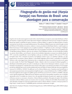 Filogeografia do gavião-real (Harpia harpyja) nas florestas do Brasil