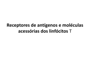 Receptores de antígenos e moléculas acessórias dos linfócitos T