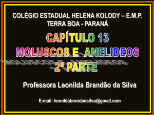 Anelideos - Professora Leonilda
