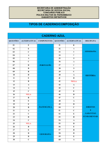 TIPOS DE CADERNO/COMPOSIÇÃO CADERNO AZUL