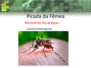 Aula 9 Dengue