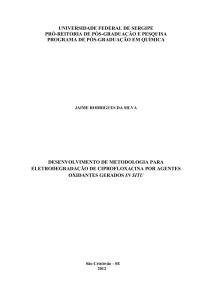 Dissertação de Mestrado – PPGQ/UFS Jaime Rodrigues da Silva