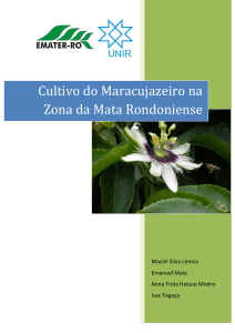 Cultivo do Maracujazeiro na Zona da Mata Rondoniense