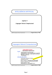 Linguagem Natural Computacional