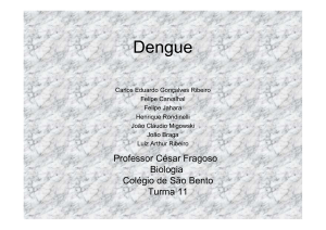 Dengue - Colégio de São Bento