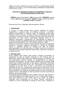 Efeitos da obesidade sobre os parâmetros clínicos e