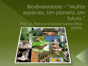 Biodiversidade – “Muitas espécies. Um planeta. Um futuro.”