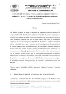 “INDÍGENA” COMO BASE PARA ACEDER À TERRA NO