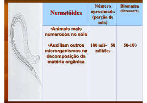 Nematóides