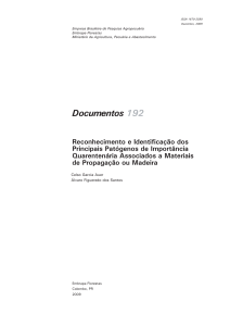 Documentos 192 - Infoteca-e