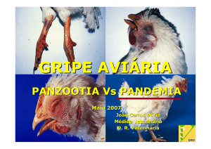 Gripe Aviaria