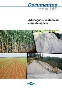 Adubação silicatada em cana-de-açúcar