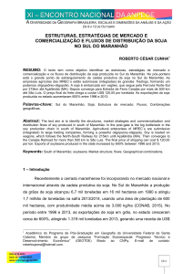 estruturas, estratégias de mercado e comercialização e