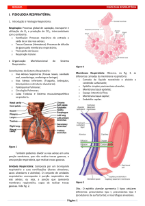 fisiologia respiratória