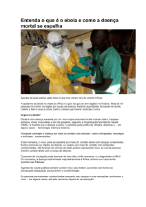 Entenda o que é o ebola e como a doença mortal se espalha