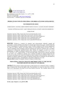 produção de tomate industrial sob irrigação por