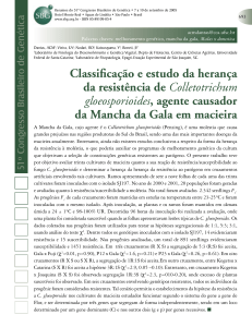 Classificação e estudo da herança da resistência de Colletotrichum