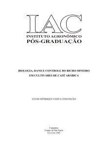biologia, dano e controle do bicho-mineiro em cultivares de